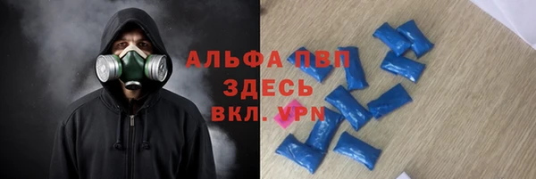 дмт Алзамай