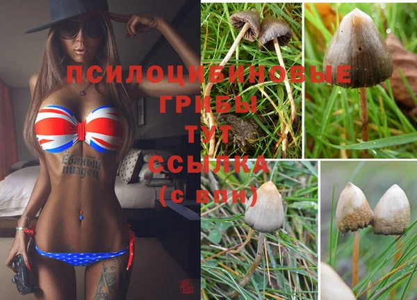 дмт Алзамай