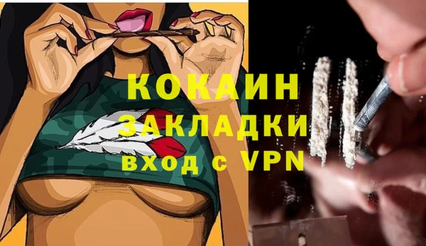 дмт Алзамай