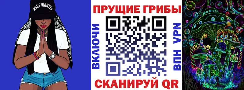 Псилоцибиновые грибы мухоморы  что такое наркотик  kraken tor  Алупка 